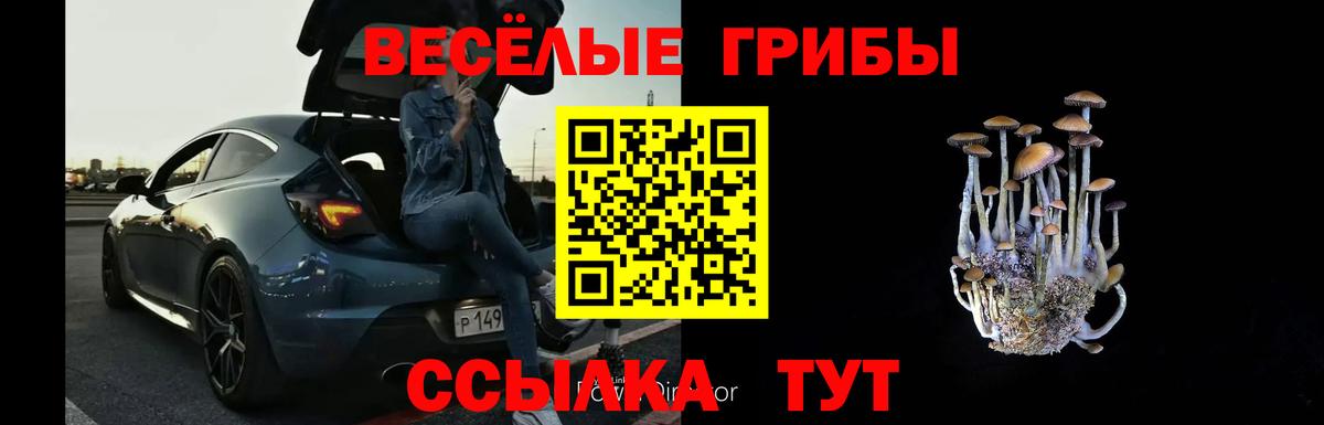 Галлюциногенные грибы ЛСД  Вход с VPN  Сочи 